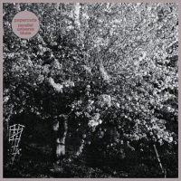 Papercuts - How To Quit Smoking