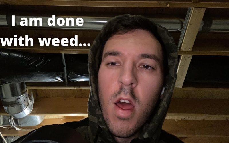 Top Three Reasons I Quit Weed *how i quit smoking*