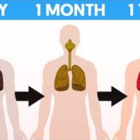 What Happens To Your Body When You Quit Smoking For 1 Hour, 1 Day, 1 Month & 1 Year | How To Guides