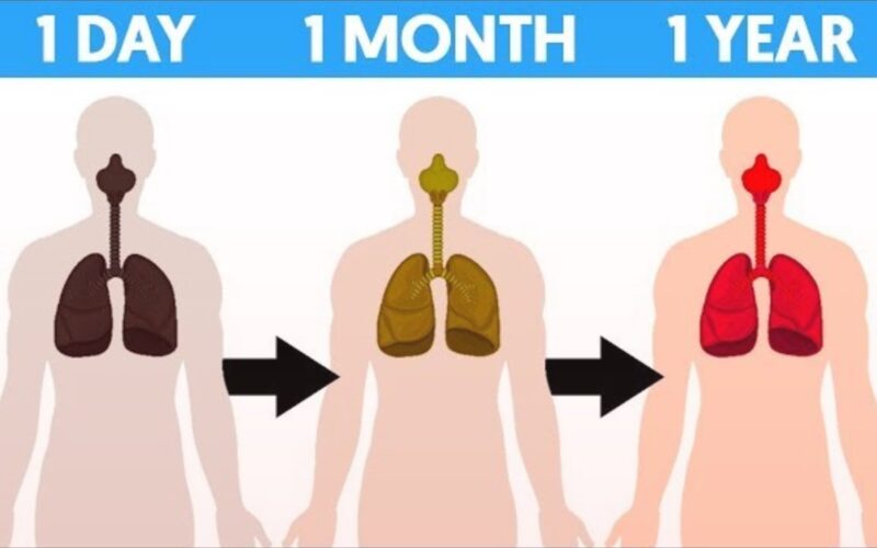 What Happens To Your Body When You Quit Smoking For 1 Hour, 1 Day, 1 Month & 1 Year | How To Guides